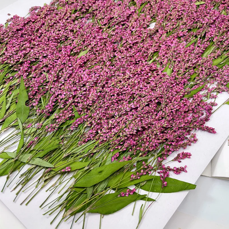 120pcs,5-8cm,Wholesale Nature  - Phone Cases Wholesale ulasan dan harga