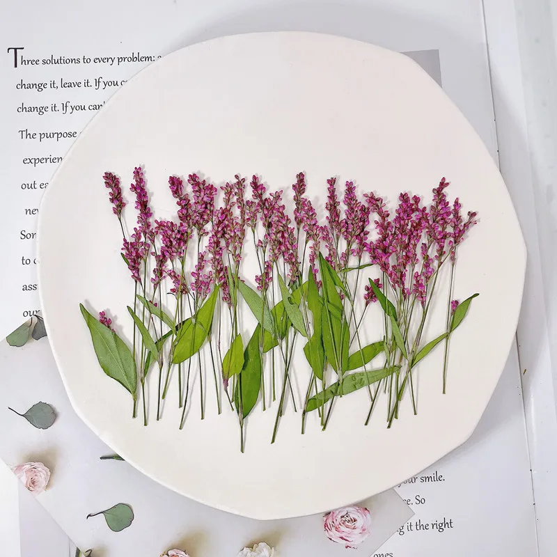 120pcs,5-8cm,Wholesale Nature  - Phone Cases Wholesale ulasan dan harga